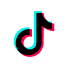 TikTok作品信息
